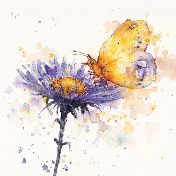 Flowers & Flutters by Sillier Than Sally wall art