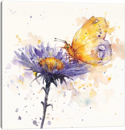 Flowers & Flutters Canvas Art Print - Sillier Than Sally