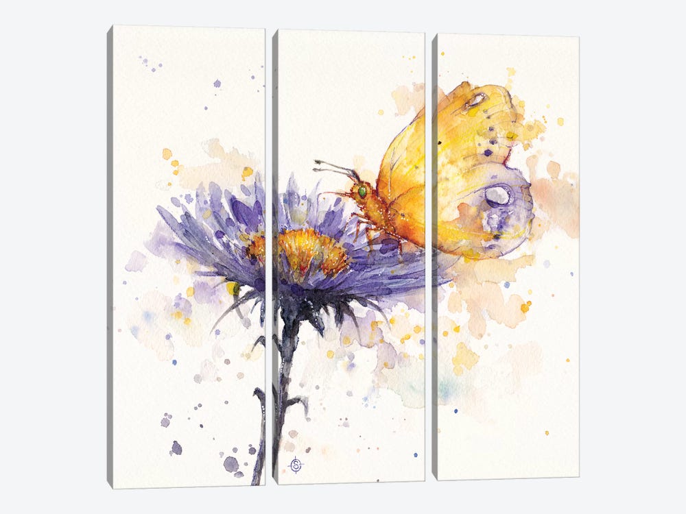 Flowers & Flutters by Sillier Than Sally 3-piece Canvas Artwork