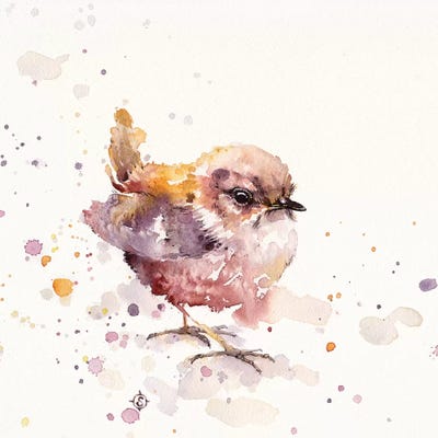 Fluffy Le Wren by Sillier Than Sally canvas print