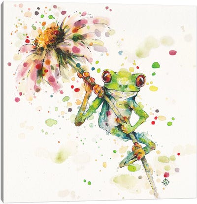 Hello There Bright Eyes Canvas Art Print - Frog Art