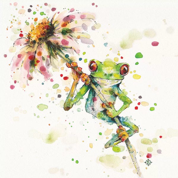 Frogs: Hello There Bright Eyes by Sillier Than Sally