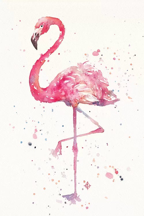 A Flamingos Fancy