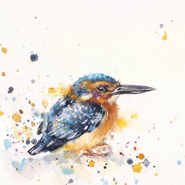 Kingfishers: Kingfisher Lane by Sillier Than Sally