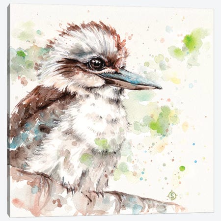 Kookaburra's Gaze Canvas Print #SIL31} by Sillier Than Sally Canvas Wall Art