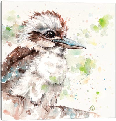 Kookaburra's Gaze Canvas Art Print - Kookaburras