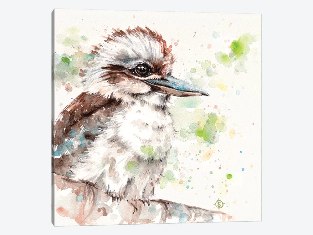 Kookaburra's Gaze by Sillier Than Sally 1-piece Canvas Art Print