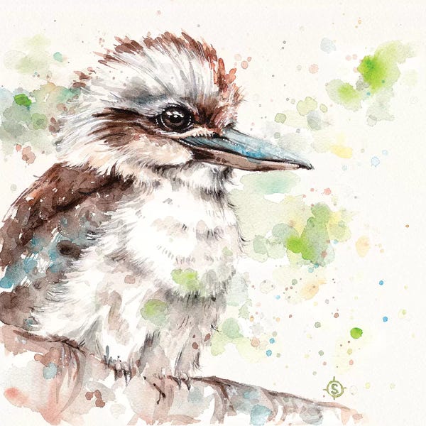 Kingfishers: Kookaburra's Gaze by Sillier Than Sally