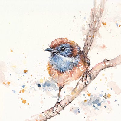 Lickity Split by Sillier Than Sally framed wall art