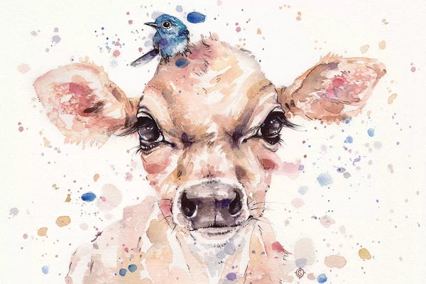 Baby Animals: Little Calf by Sillier Than Sally