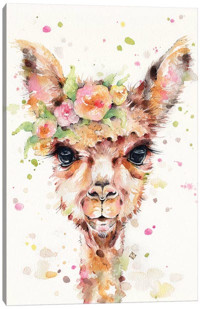 Little Llama Canvas Art Print - Llama & Alpaca Art