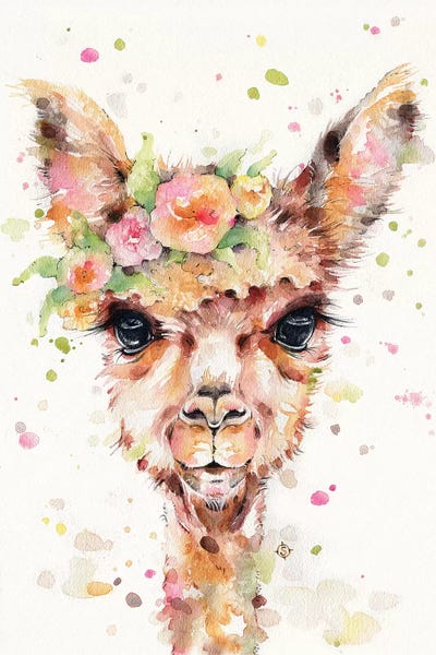 Baby Animals: Little Llama by Sillier Than Sally