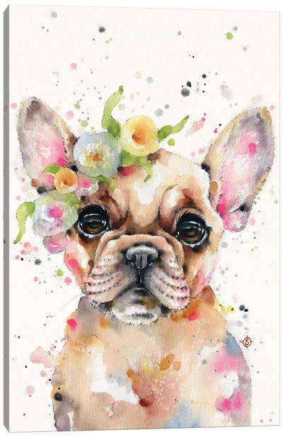 Little Miss Frenchie Canvas Art Print - French Bulldog Art