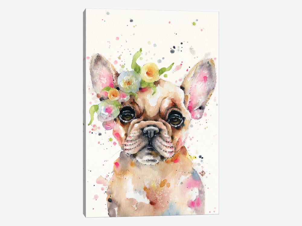 Little Miss Frenchie by Sillier Than Sally 1-piece Canvas Art Print
