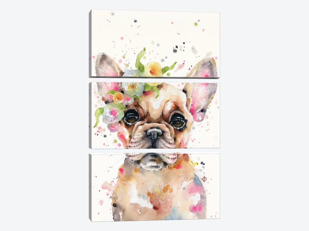Little Miss Frenchie by Sillier Than Sally 3-piece Art Print