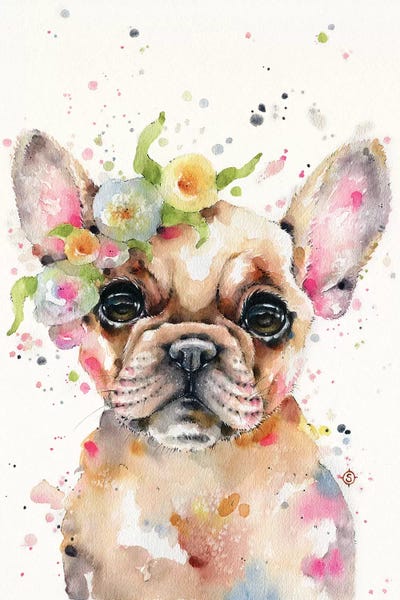 Puppies: Little Miss Frenchie by Sillier Than Sally