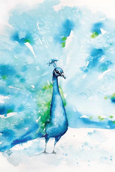 Peacocks: Peacocks About by Sillier Than Sally