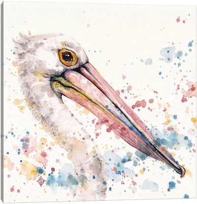 Pelicans About Canvas Art Print - Pelican Art