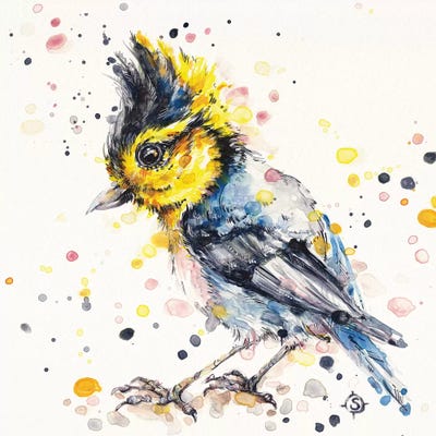 Adventurous by Sillier Than Sally canvas print