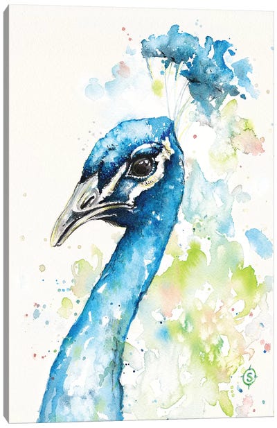 The Bold & The Beautiful Canvas Art Print - Peacock Art