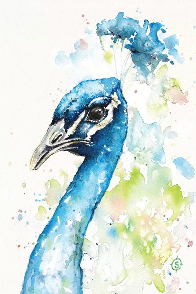 Peacocks: The Bold & The Beautiful by Sillier Than Sally