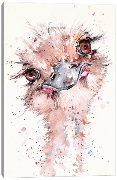 Who Me Canvas Art Print - Ostrich Art