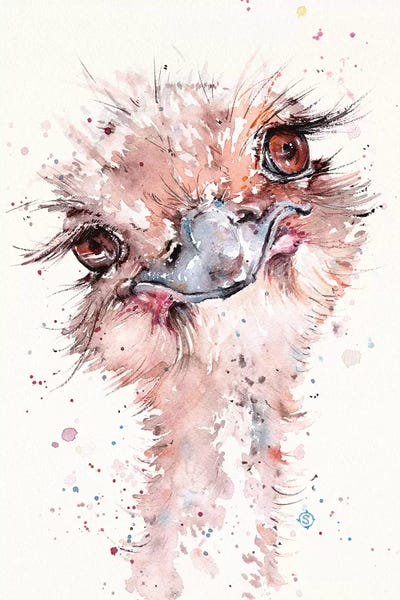 Ostriches: Who Me by Sillier Than Sally