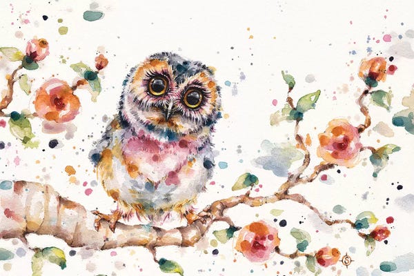 Owls