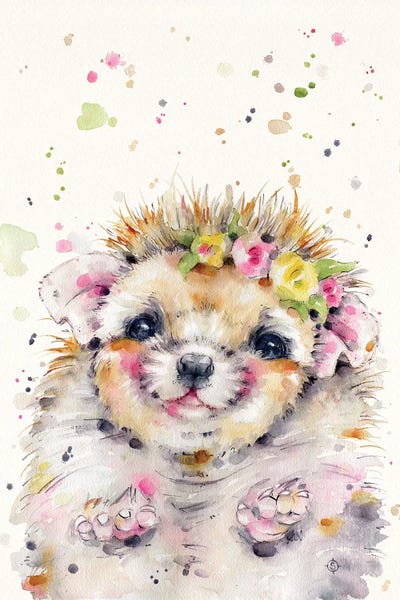 Hedgehogs: Little Hedgehog by Sillier Than Sally