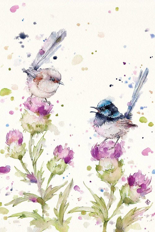 Yes Darling I See You There (Fairy Wrens) by Sillier Than Sally wall art