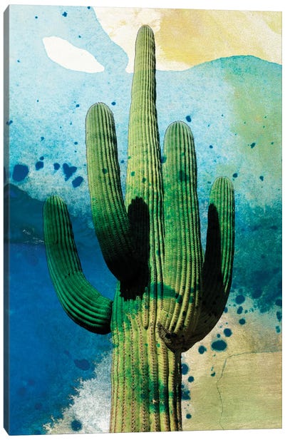 Cactus Abstract Canvas Art Print - Sisa Jasper