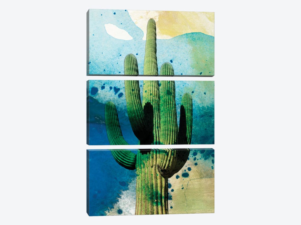 Cactus Abstract by Sisa Jasper 3-piece Canvas Art Print
