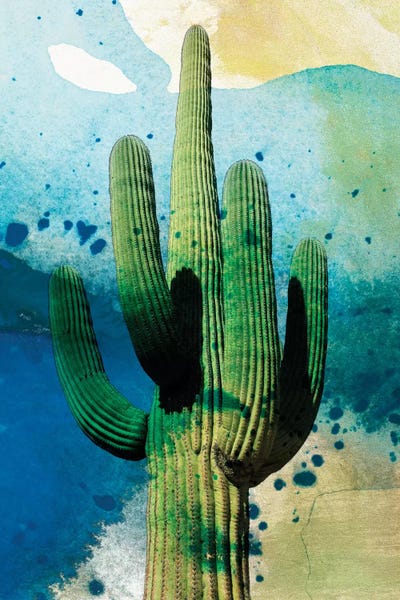 Sisa Jasper: Cactus Abstract by Sisa Jasper