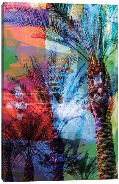 Desert Palm Abstract Canvas Art Print
