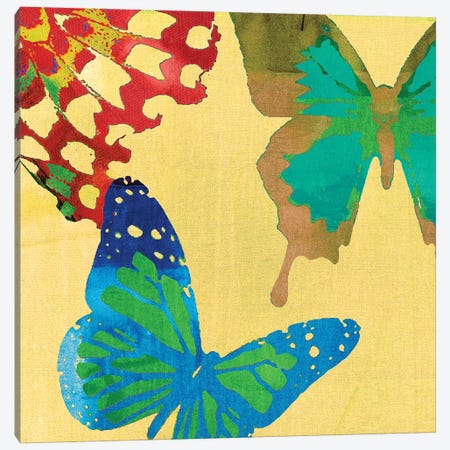 Saturated Butterflies III Canvas Print #SIS54} by Sisa Jasper Canvas Artwork
