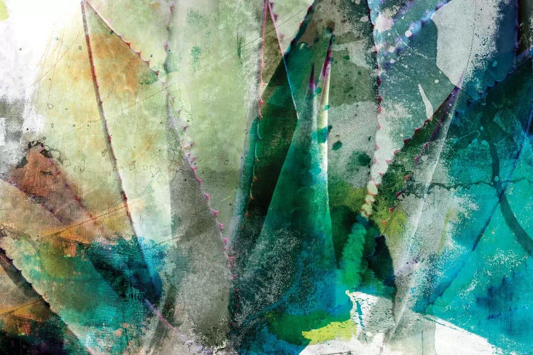 Agave Abstract II by Sisa Jasper wall art