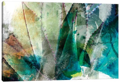 Agave Abstract II Canvas Art Print - Home Staging Bathroom