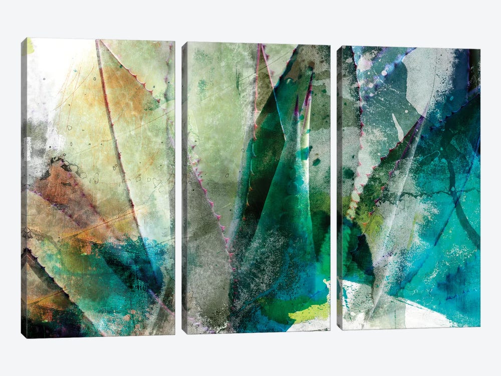 Agave Abstract II by Sisa Jasper 3-piece Canvas Wall Art
