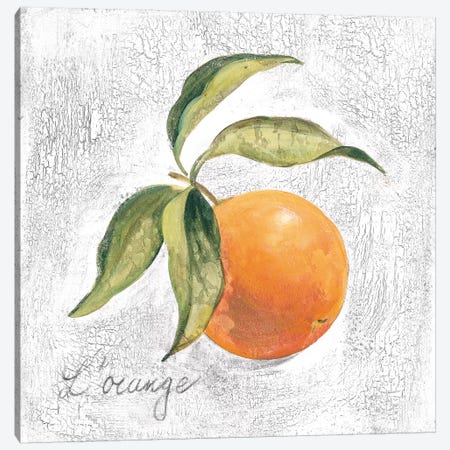 L Orange on White Canvas Print #SIV105} by Silvia Vassileva Canvas Art