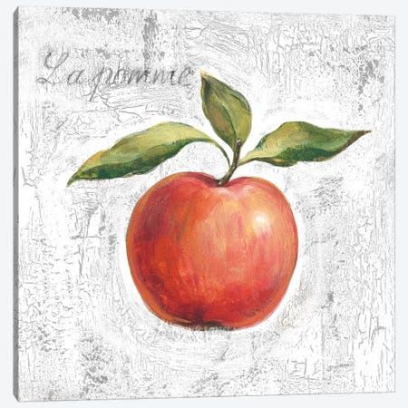 La Pomme on White Canvas Print #SIV107} by Silvia Vassileva Canvas Artwork