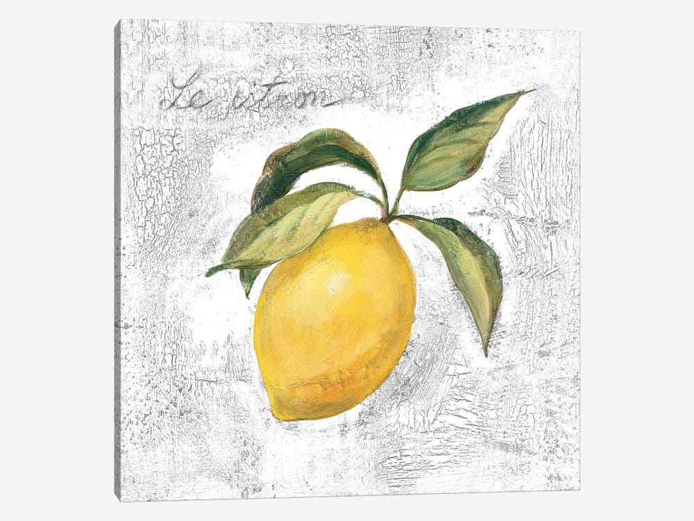 Le Citron on White by Silvia Vassileva 1-piece Canvas Art Print