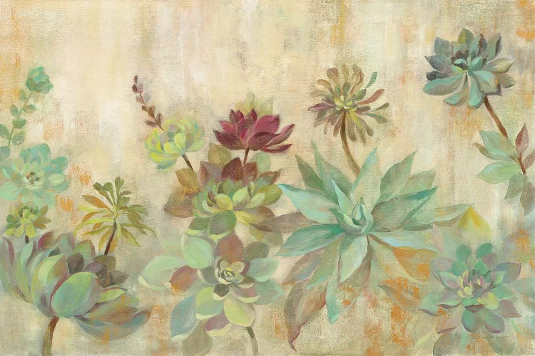 Succulent Garden by Silvia Vassileva wall art