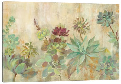 Succulent Garden Canvas Art Print - Silvia Vassileva