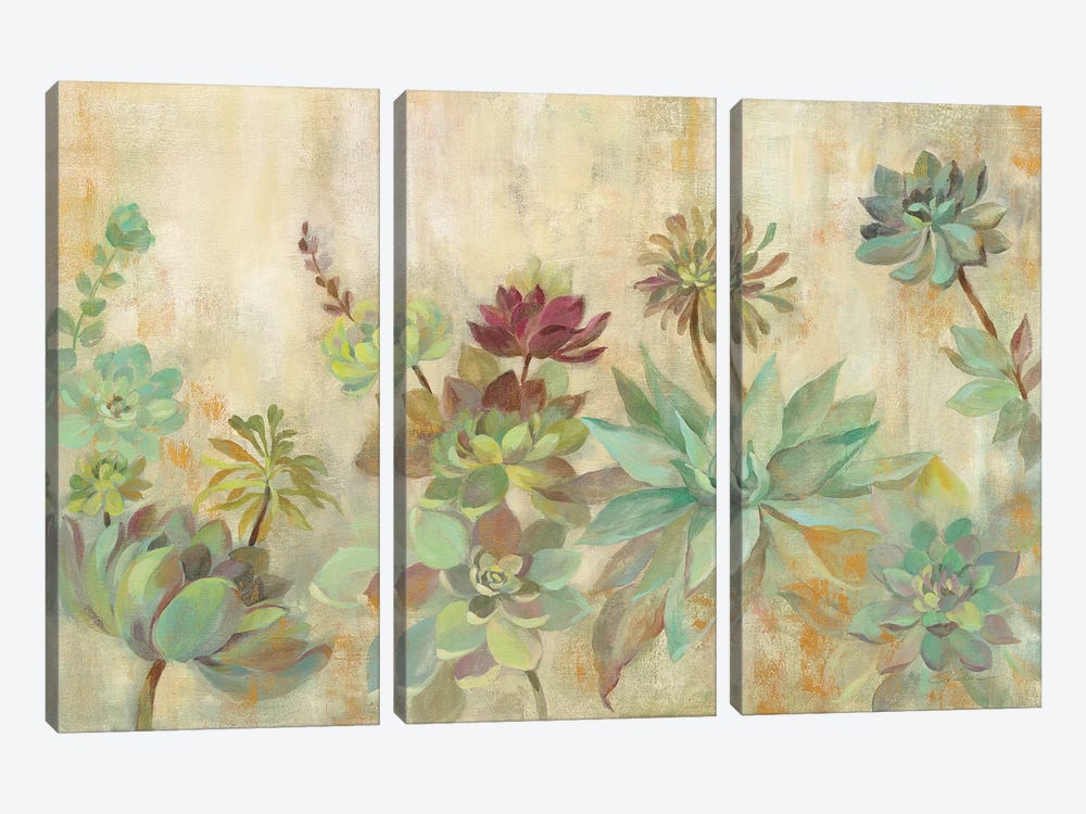 Succulent Garden by Silvia Vassileva 3-piece Canvas Print