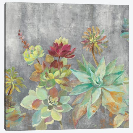 Succulent Garden Gray Crop Canvas Print #SIV118} by Silvia Vassileva Canvas Artwork