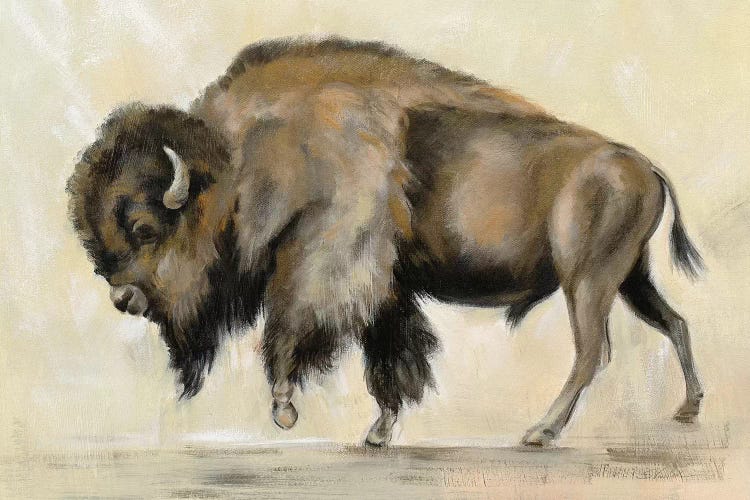 Bronze Buffalo by Silvia Vassileva wall art