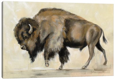 Bronze Buffalo Canvas Art Print - Bison & Buffalo Art