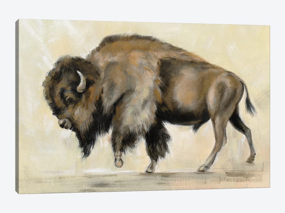 Bronze Buffalo by Silvia Vassileva 1-piece Canvas Print