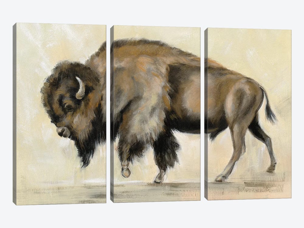 Bronze Buffalo by Silvia Vassileva 3-piece Canvas Print