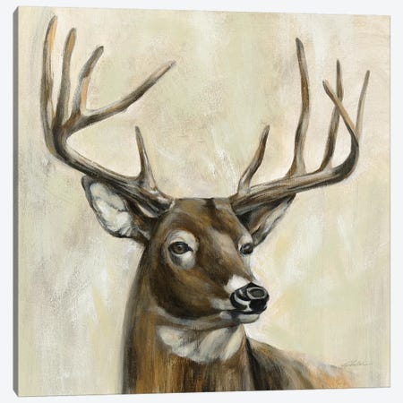 Bronze Deer Canvas Print #SIV120} by Silvia Vassileva Canvas Art Print